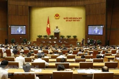 Voters underline need to prioritise development investment