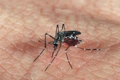 Indonesia: Lombok declares health emergency due to malaria 