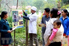 Increasing malaria in disadvantaged areas threatens Vietnam’s progress