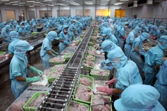 Tra fish exports to China continue to thrive