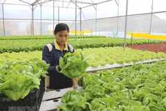 Vietnam attends AgriTech 2018 in Israel