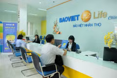 Bao Viet tops Vietnam insurance market 