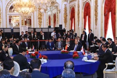 Mekong-Japan cooperation lifted to strategic partnership