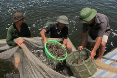 Khanh Hoa develops seafood, ecological protection