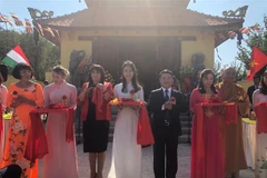 First Vietnamese pagoda recognised in Hungary