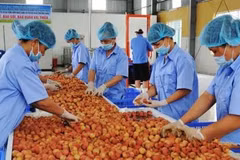 Cultivation law promotes farm produce’s competitiveness