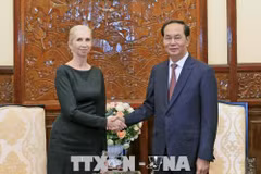 Vietnam treasures ties with Norway: President 