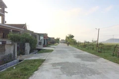 Small quake hits Ha Tinh province