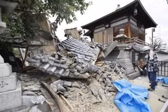No Vietnamese killed, injured in Osaka earthquake