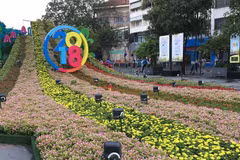 Nguyen Hue Flower Street opens for Tet