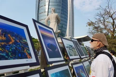 International photo exhibition runs in Da Nang