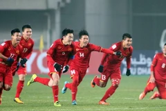 Vietnam to train in Korea for AFF Cup