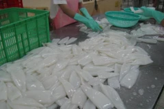 Vietnam’s squid and octopus exports to US surge 