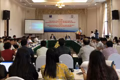 Netherlands shares experience in developing cooperatives 