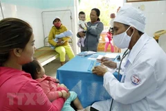 Kon Tum to become nation’s key pharmaceuticals region