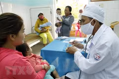 Kon Tum to become nation’s key pharmaceuticals region