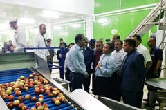 Vietnam promotes trade, investment ties with Algerian province