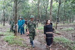 Conference calls for more foreign aid in Gia Lai province