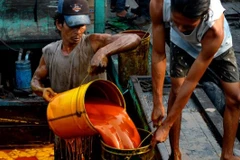 Indonesia’s crude palm oil output to climb to 40-42 mln tonnes 