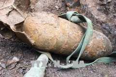 War-left bomb safely deactivated in Dien Bien