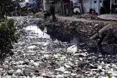 Japan supports Vietnam in pollution control