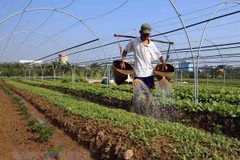 Vietnam sees potential for organic fertilizer business