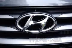 Hyundai considers plant in Vietnam or Indonesia