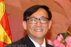 Thai ambassador presented with friendship insignia