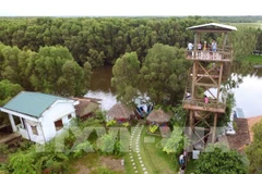 Tram Chim park needs better fire management to conserve eco-system