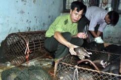 Vietnam gets strict on wildlife protection