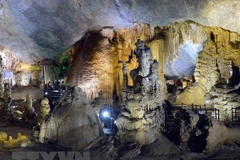 44 new caves found in Phong Nha – Ke Bang national park 