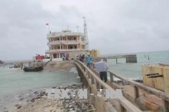 Tet comes early to Truong Sa islanders