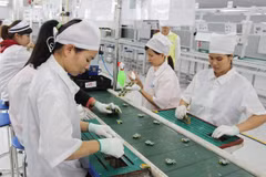 RoK helps businesses carry out major projects in Vietnam, UAE