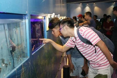 HCM City eyes ornamental fish breeding
