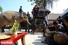 Dak Lak develops community-based tourism this year