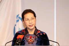 Vietnam calls for stronger cooperation to solve migration crises