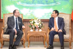 Vietnam to develop multi-tiered social security system: Deputy PM