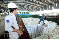 Gas-power-fertiliser complex – major contributor to Ca Mau province