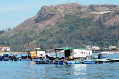 Funds allocated to preserve Ly Son Marine Protected Area