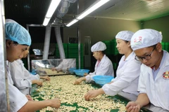 Agro-forestry-fishery exports exceed 3 billion USD in January 