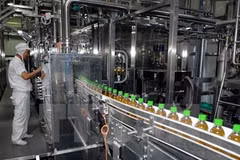 Manufacturing and processing sector sees impressive growth in H1