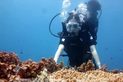 Underwater stone arch draws visitors to island district