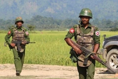 Myanmar army suspends military actions against armed groups 