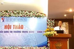 Middle East, Africa – promising markets for Vietnamese goods
