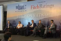 Vietnam has good growth momentum: Fitch forum