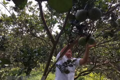 Technological application crucial to agriculture 
