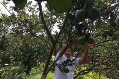 Technological application crucial to agriculture 