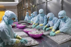 China’s reduced import tax boosts Vietnam’s tra fish export 