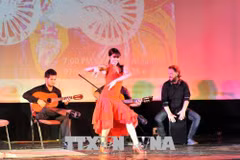Vietnamese culture promoted in Cuba