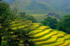 Bat Xat Fall Festival 2018 kicks off in Lao Cai